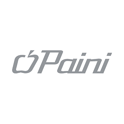 Logo Paini